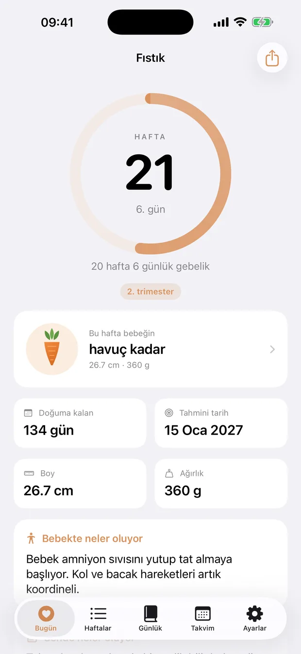 Kırk Hafta — bugün