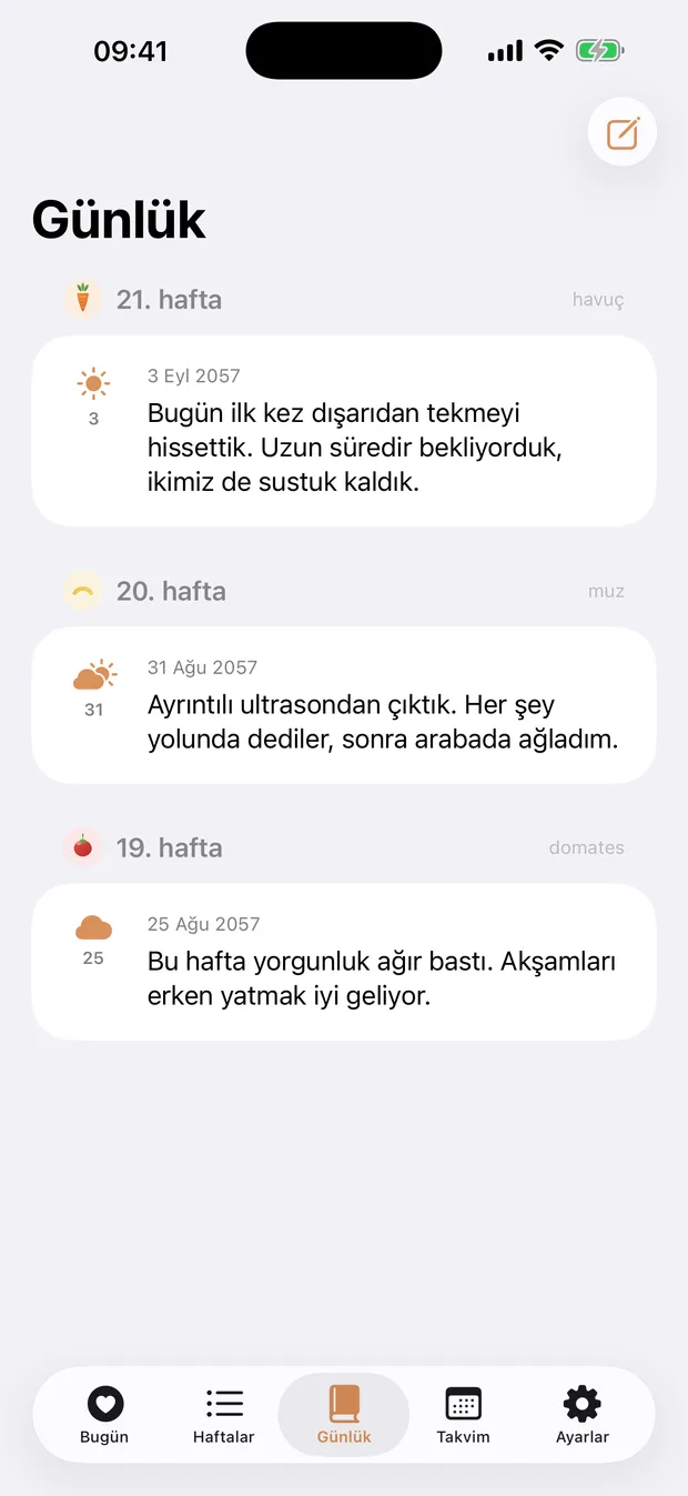 Kırk Hafta — günlük