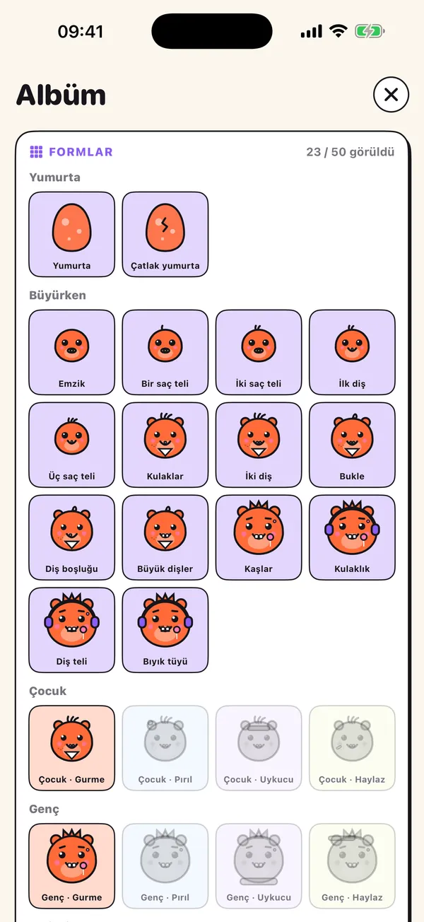 Albüm